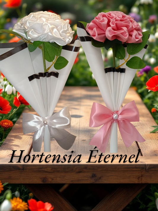 HORTENSIA ETERNEL